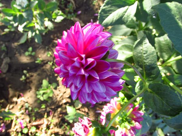 Name:  IMG_3492.jpg
Views: 1190
Size:  53.1 KB