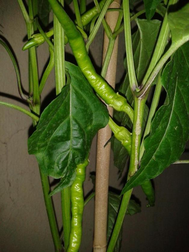 Name:  b3ac kl.jpg
Views: 841
Size:  71.0 KB