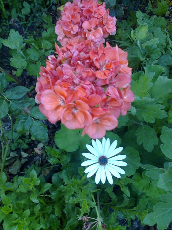 Name:  Fotoraf1341.jpg
Views: 362
Size:  73.9 KB