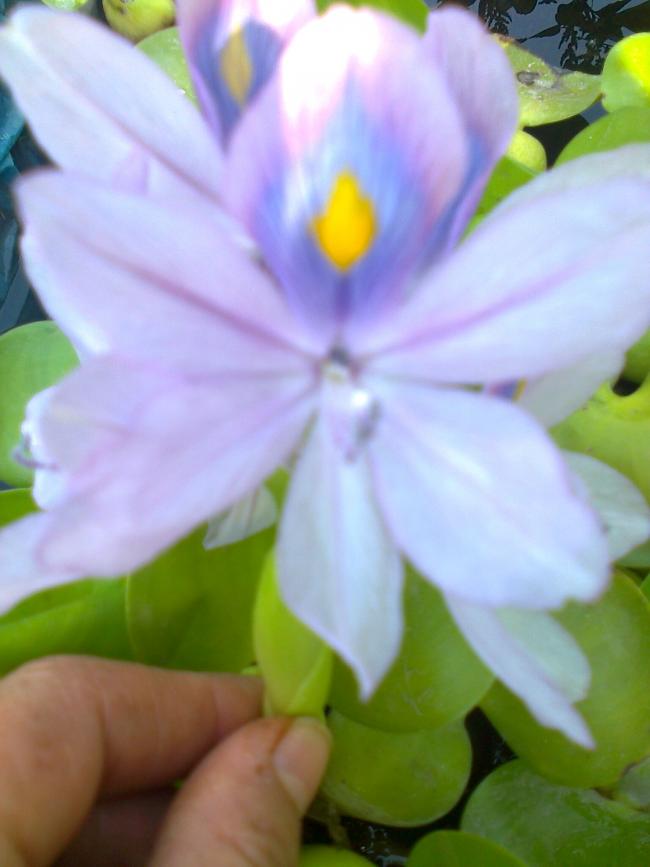 Name:  Fotoraf1395 - Kopya.jpg
Views: 335
Size:  42.6 KB