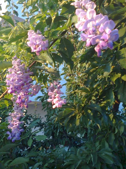 Name:  Fotoraf1406 - Kopya.jpg
Views: 368
Size:  77.7 KB
