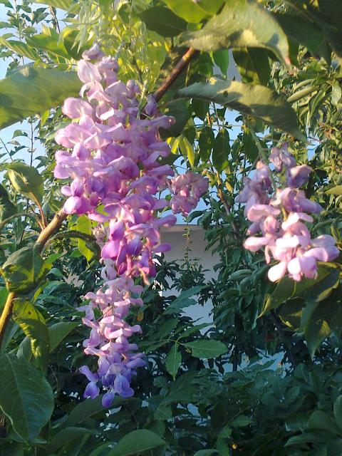 Name:  Fotoraf1407.jpg
Views: 355
Size:  77.7 KB
