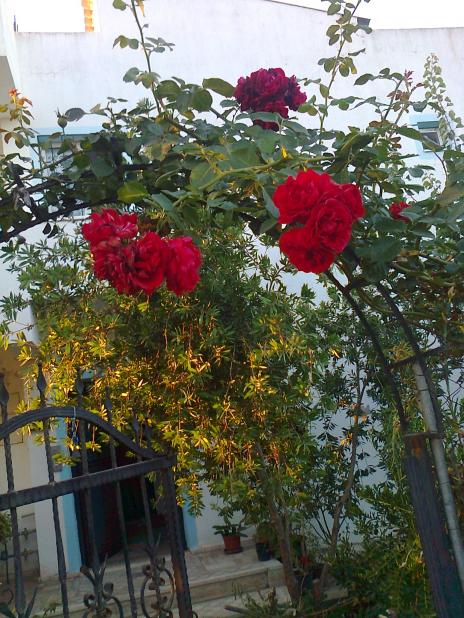 Name:  Fotoraf1409 - Kopya.jpg
Views: 590
Size:  76.9 KB