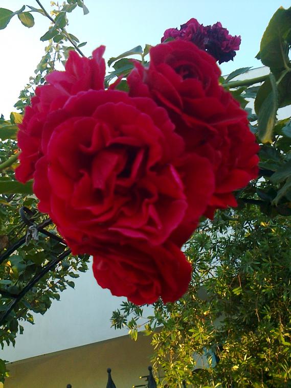 Name:  Fotoraf1410 - Kopya.jpg
Views: 574
Size:  73.8 KB