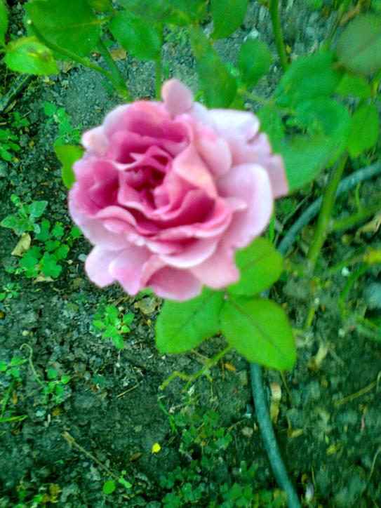 Name:  Fotoraf1422 - Kopya.jpg
Views: 556
Size:  74.4 KB