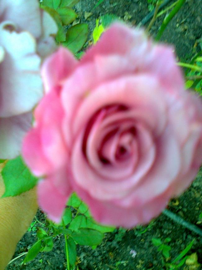 Name:  Fotoraf1421 - Kopya.jpg
Views: 565
Size:  63.4 KB