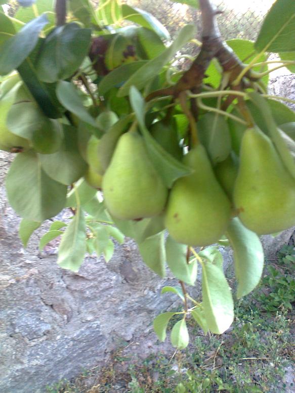 Name:  Fotoraf1416 - Kopya.jpg
Views: 542
Size:  72.4 KB