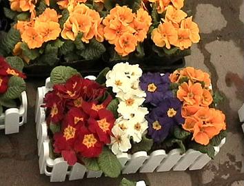 Name:  CH-1.JPG
Views: 1509
Size:  54.4 KB