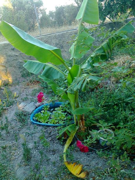 Name:  Fotoraf1415 - Kopya.jpg
Views: 498
Size:  75.9 KB