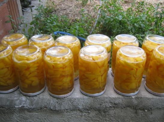 Name:  konserve.jpg
Views: 1080
Size:  43.7 KB