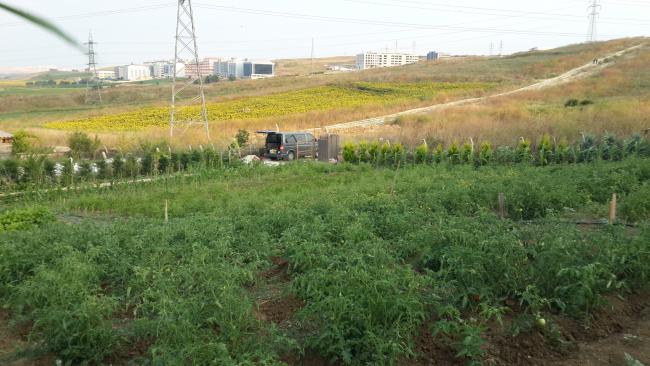 Name:  20140715_194144.jpg
Views: 1606
Size:  47.2 KB