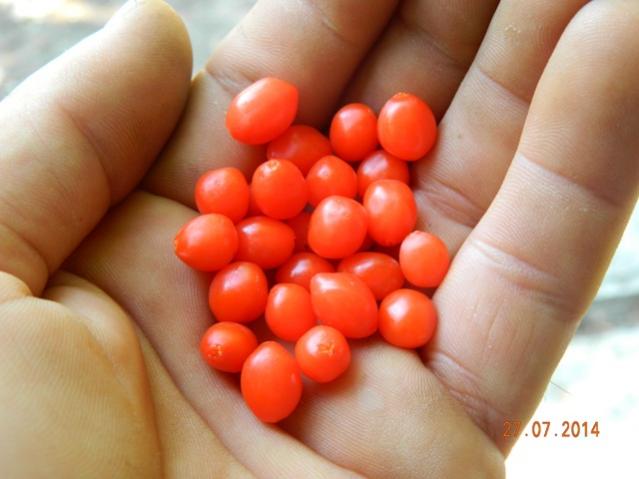 Name:  Resim 457.jpg
Views: 992
Size:  33.9 KB