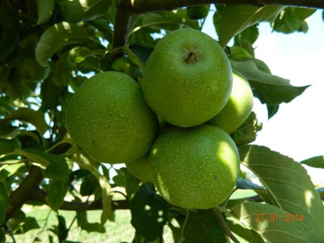 Name:  Resim 471.jpg
Views: 1054
Size:  43.2 KB