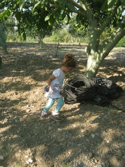 Name:  kuzum---.jpg
Views: 1380
Size:  55.1 KB