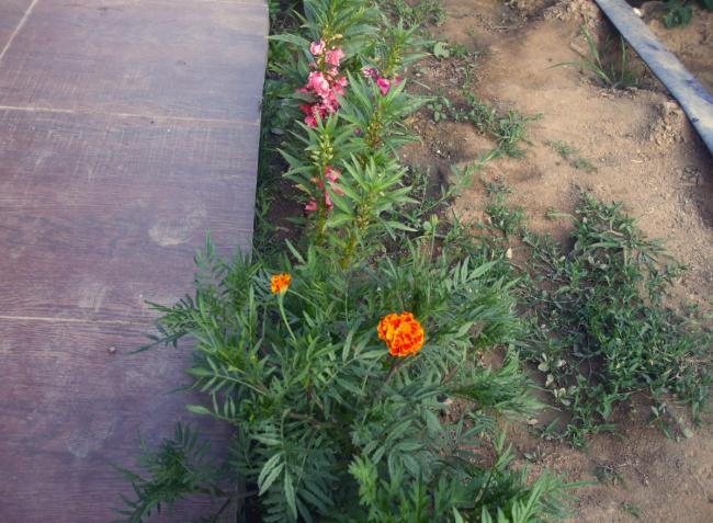 Name:  kna.jpg
Views: 1227
Size:  62.8 KB