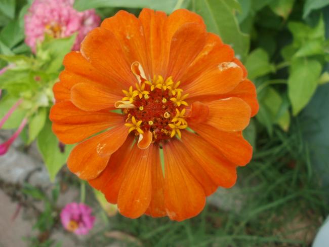 Name:  P1010206a.jpg
Views: 409
Size:  34.9 KB