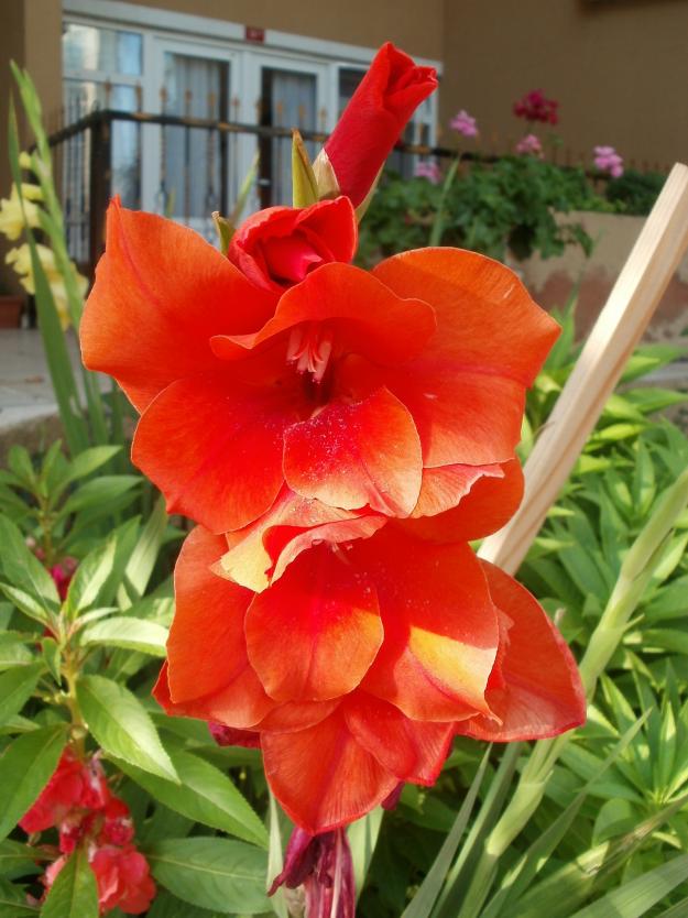 Name:  P1010175a.jpg
Views: 397
Size:  71.6 KB