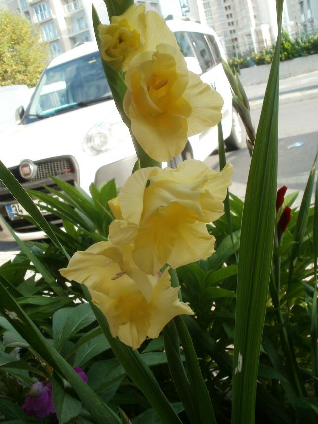 Name:  P1010180a.jpg
Views: 393
Size:  70.4 KB