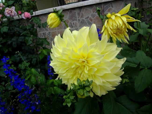 Name:  49.jpg
Views: 543
Size:  48.7 KB