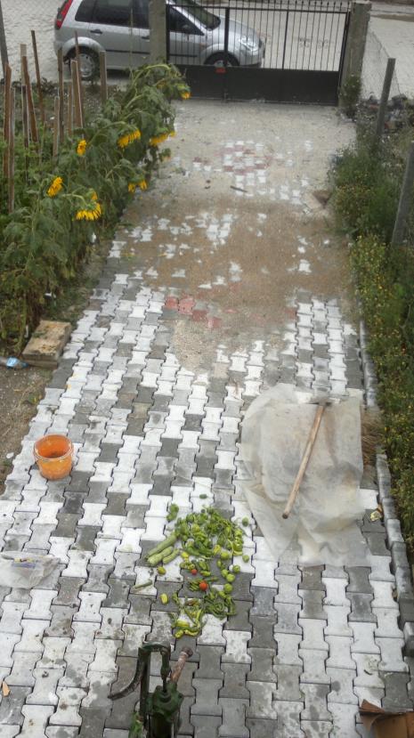 Name:  22.07.2014 046.jpg
Views: 540
Size:  78.4 KB
