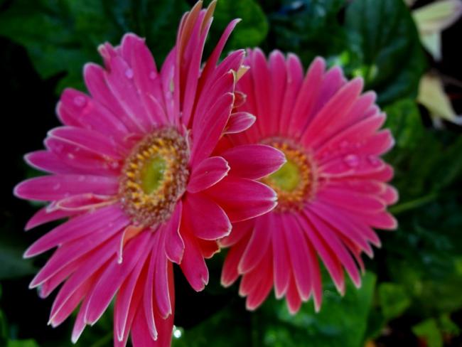 Name:  101.jpg
Views: 519
Size:  37.3 KB