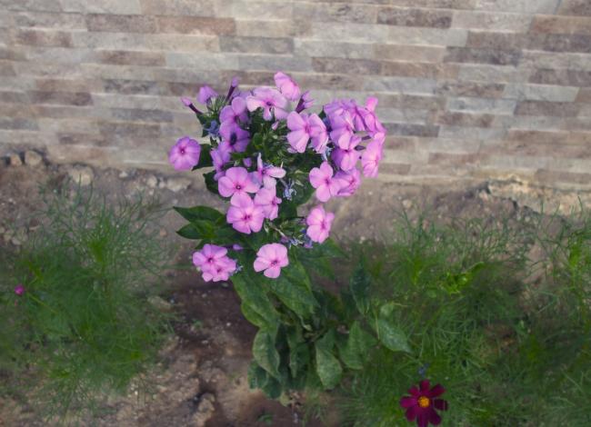 Name:  yeni.jpg
Views: 1649
Size:  45.9 KB