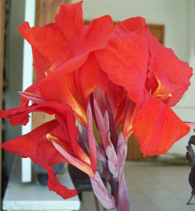 Name:  100_1102.jpg
Views: 593
Size:  47.1 KB