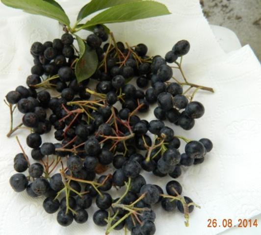 Name:  Resim 523.jpg
Views: 926
Size:  37.5 KB