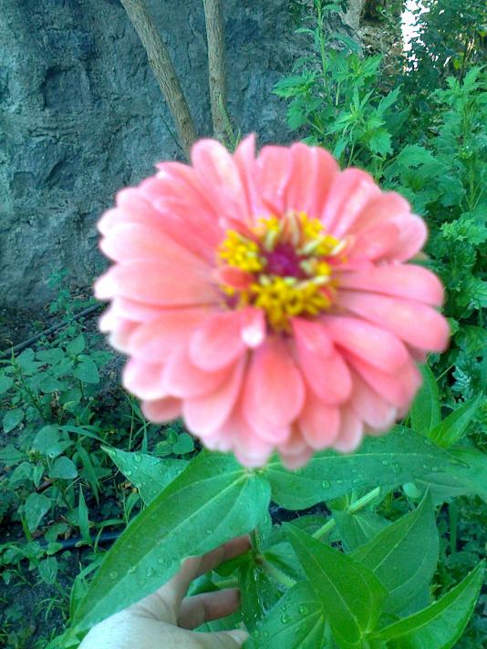 Name:  002.jpg
Views: 384
Size:  73.9 KB