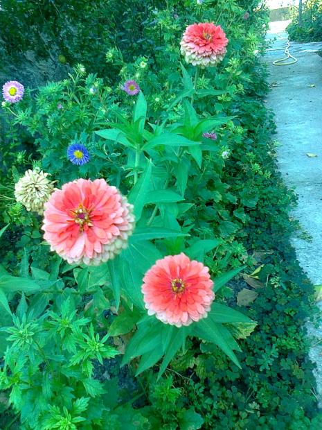 Name:  058.jpg
Views: 395
Size:  76.6 KB
