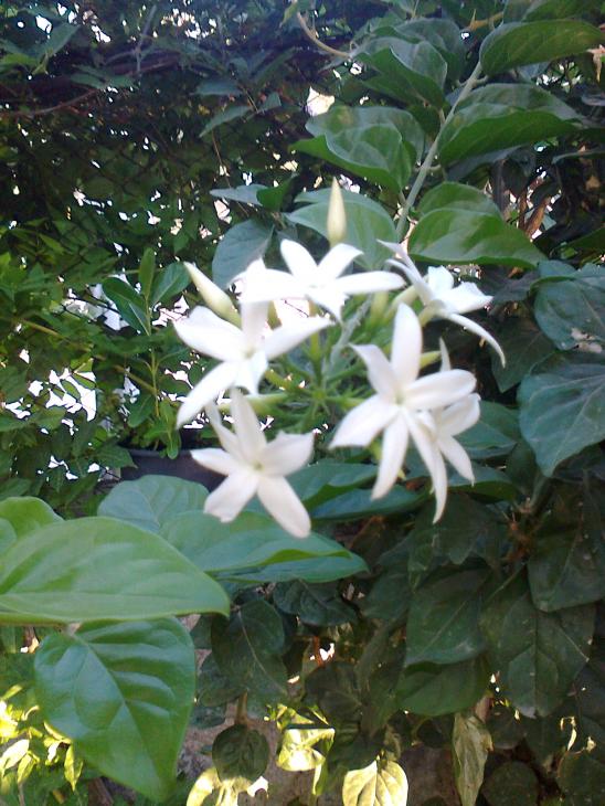 Name:  018.jpg
Views: 403
Size:  74.9 KB