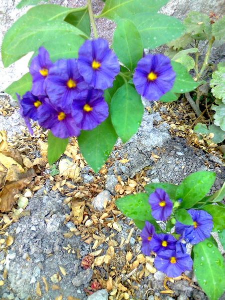 Name:  056.jpg
Views: 631
Size:  78.1 KB