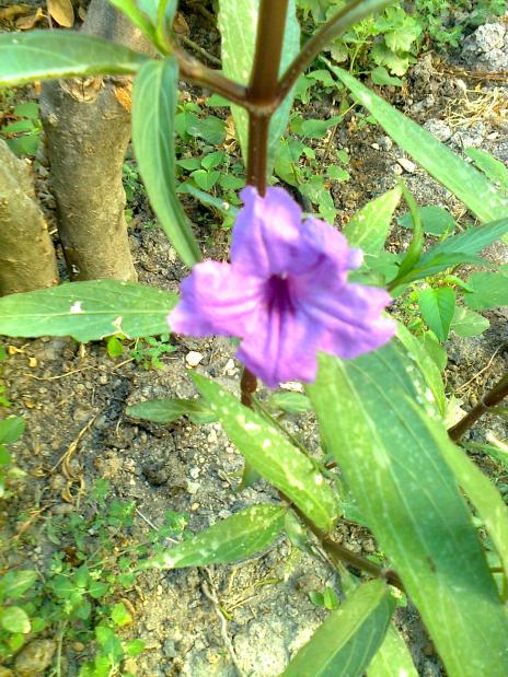 Name:  020.jpg
Views: 418
Size:  77.7 KB