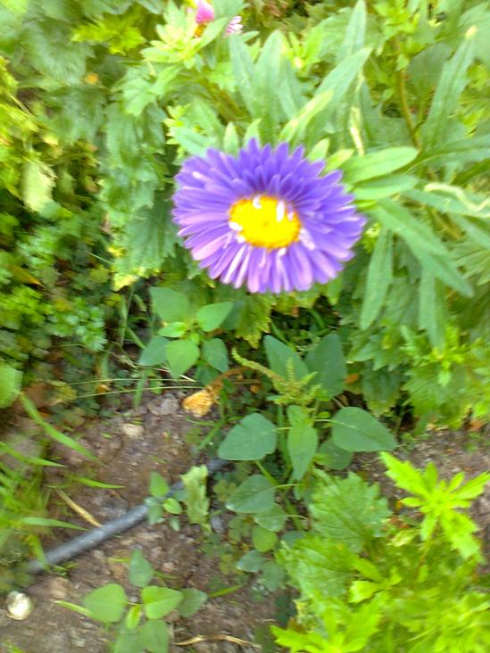 Name:  057.jpg
Views: 387
Size:  75.0 KB