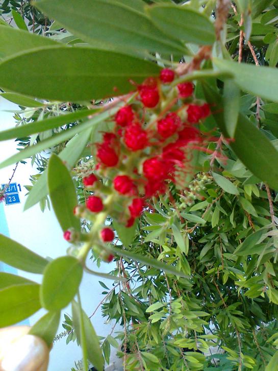 Name:  026.jpg
Views: 423
Size:  74.7 KB