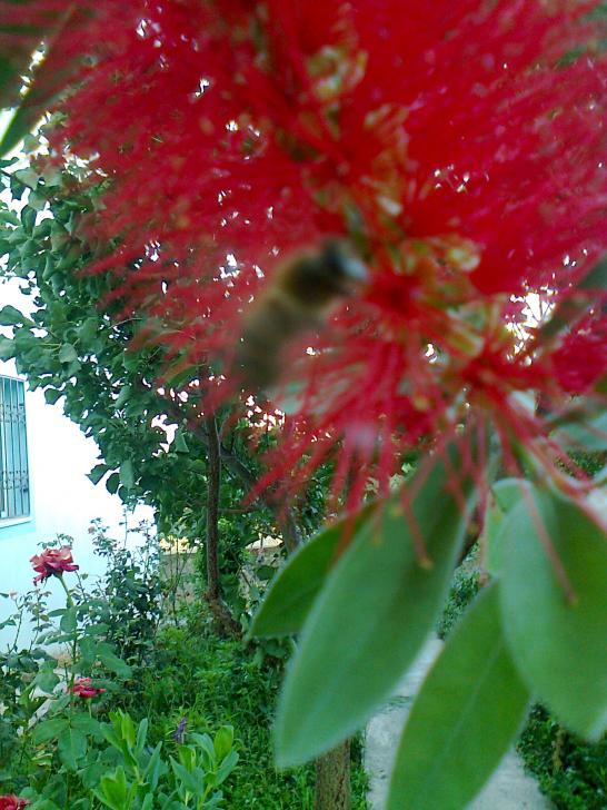 Name:  024.jpg
Views: 395
Size:  73.7 KB