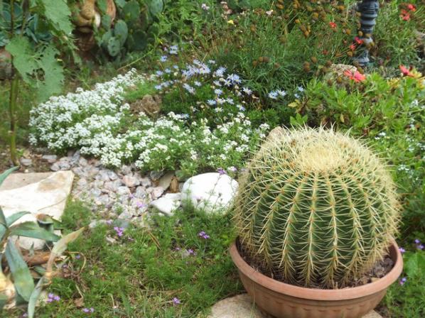 Name:  DSCF0097.jpg
Views: 457
Size:  72.7 KB
