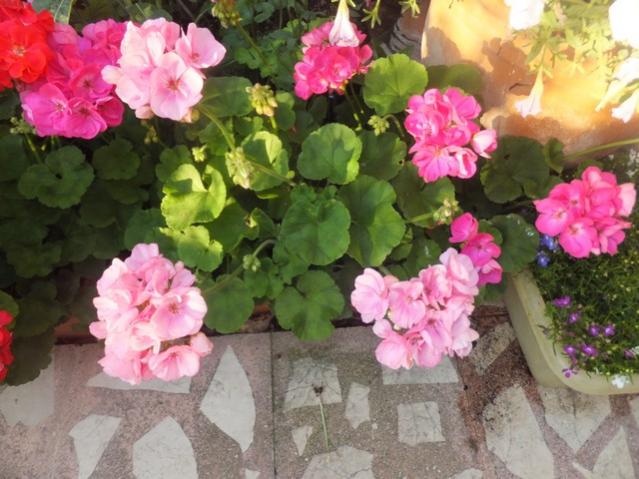 Name:  DSCF0128.jpg
Views: 667
Size:  53.4 KB