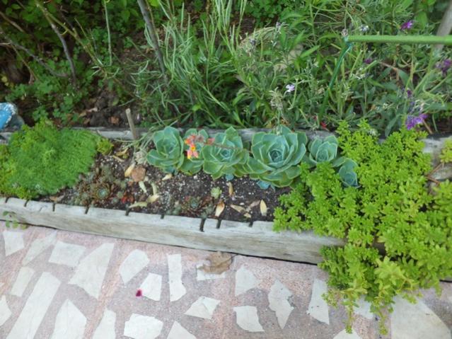 Name:  DSCF0134.jpg
Views: 456
Size:  65.5 KB