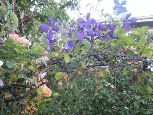 Name:  DSCF0166.jpg
Views: 600
Size:  69.0 KB