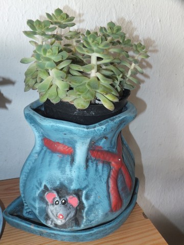 Name:  DSCF0211.JPG
Views: 447
Size:  58.6 KB