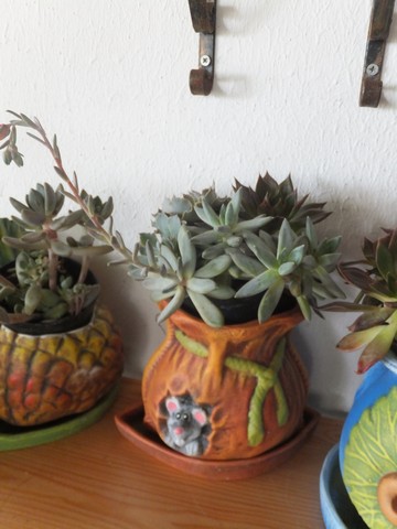 Name:  DSCF0213.JPG
Views: 445
Size:  53.9 KB