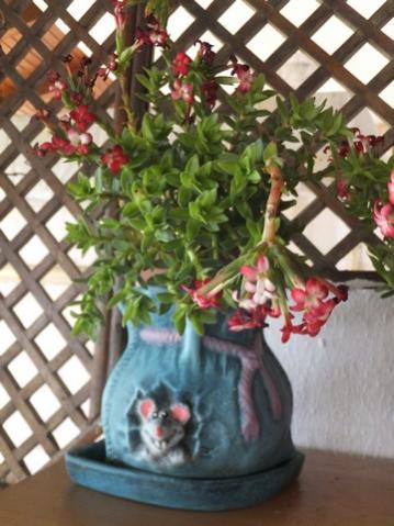 Name:  DSCF0216.jpg
Views: 441
Size:  35.1 KB