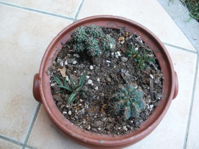 Name:  P1010334a.jpg
Views: 560
Size:  57.8 KB