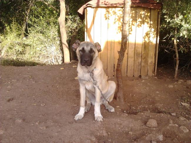 Name:  2014-09-21 17.28.09.jpg
Views: 2702
Size:  68.5 KB