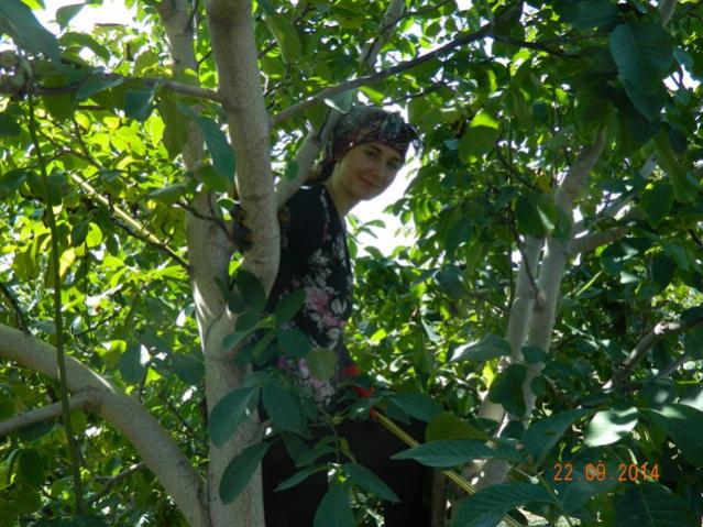 Name:  Resim 624.jpg
Views: 1157
Size:  68.2 KB