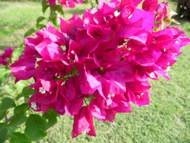 Name:  056.jpg
Views: 929
Size:  56.3 KB