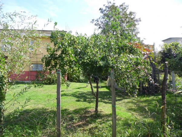 Name:  084.jpg
Views: 908
Size:  72.0 KB