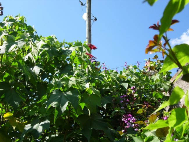 Name:  130.jpg
Views: 876
Size:  62.5 KB