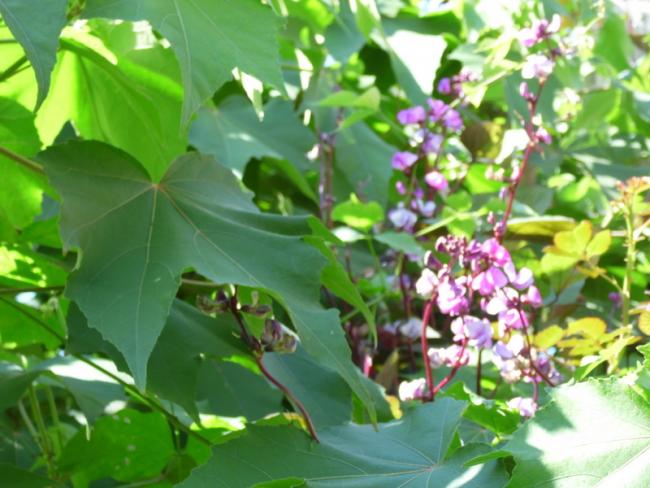 Name:  129.jpg
Views: 912
Size:  50.7 KB